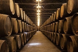 De Florença: Semi-privado Deep Wine Chianti San Gimignano