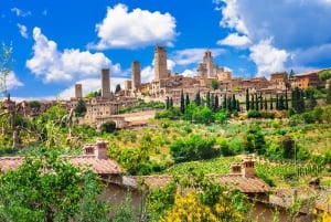 Desde Florencia: Semi Privado Vino Profundo Chianti San Gimignano