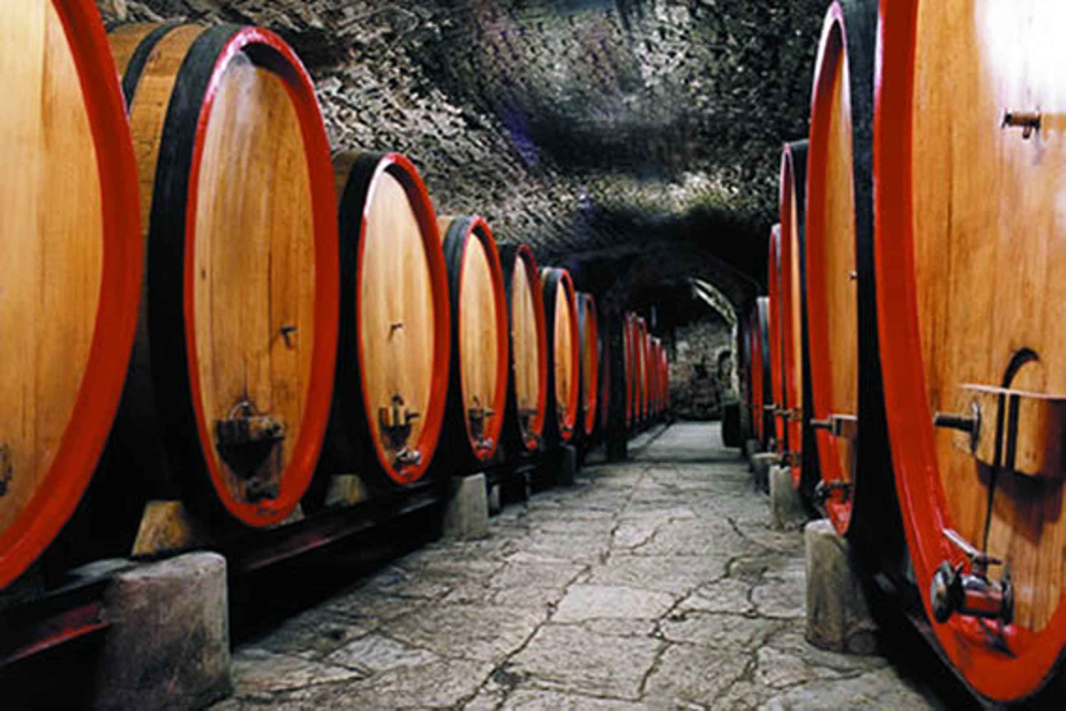 Fra Firenze: Chianti Wine Tour med chauffør og guide
