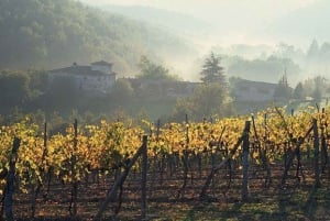 Ab Florenz: Chianti-Weintour mit Fahrer und Guide