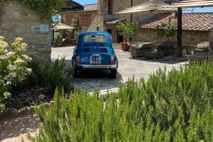 Fra Firenze: Chianti Wine Tour med chauffør og guide