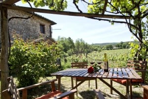 Fra Firenze: Chianti Wine Tour med chauffør og guide