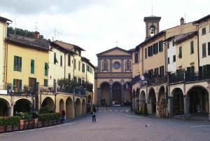 Fra Firenze: Chianti Wine Tour med chauffør og guide