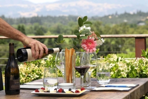 Fra Firenze: Chianti Wine Tour med chauffør og guide