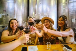 Z Florencji: Wycieczka z degustacją wina Chianti