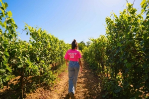 Z Florencji: Wycieczka z degustacją wina Chianti