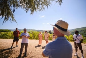 Z Florencji: Wycieczka z degustacją wina Chianti