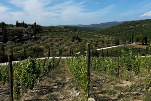 Au départ de Florence : visite œnologique du Chianti avec dégustations, visite d'une demi-journée