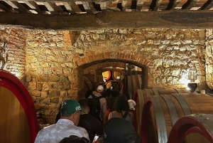 Au départ de Florence : visite œnologique du Chianti avec dégustations, visite d'une demi-journée