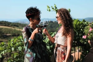 Da Firenze: Tour del vino Chianti con degustazioni