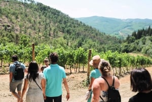 Da Firenze: Tour del vino Chianti con degustazioni