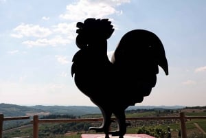 Desde Florencia: Ruta del Vino Chianti con Degustaciones