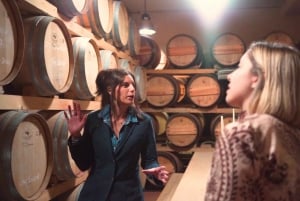 De Florença: Tour do vinho Chianti com degustações