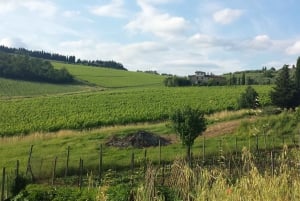 From Florence: Chianti Winery Tour at 3 Estates with Lunch