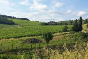 From Florence: Chianti Wine Tour at 2 Estates w/Lunch&snacks