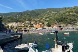 Z Florencji: Cinque Terre - jednodniowa wycieczka z lunchem
