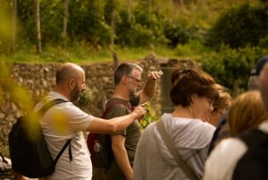 Depuis Florence : excursion d'une journée aux Cinque Terre avec arrêt à Pise