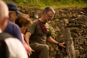 Depuis Florence : excursion d'une journée aux Cinque Terre avec arrêt à Pise
