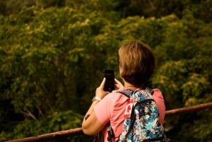 Depuis Florence : excursion d'une journée aux Cinque Terre avec arrêt à Pise