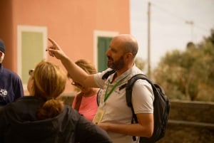 Depuis Florence : excursion d'une journée aux Cinque Terre avec arrêt à Pise