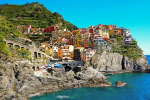 Fra Firenze: Privat tur til Cinque Terre