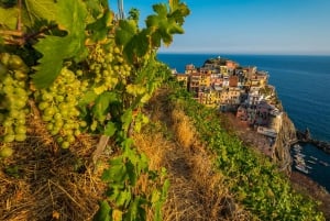 Firenzestä: Firenze: Cinque Terre Small Group Tour