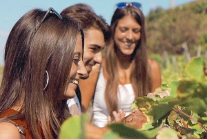 From Florence: Cinque Terre Small Group Tour with Lunch