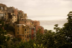 Firenzestä: Firenze: Cinque Terre Small Group Tour