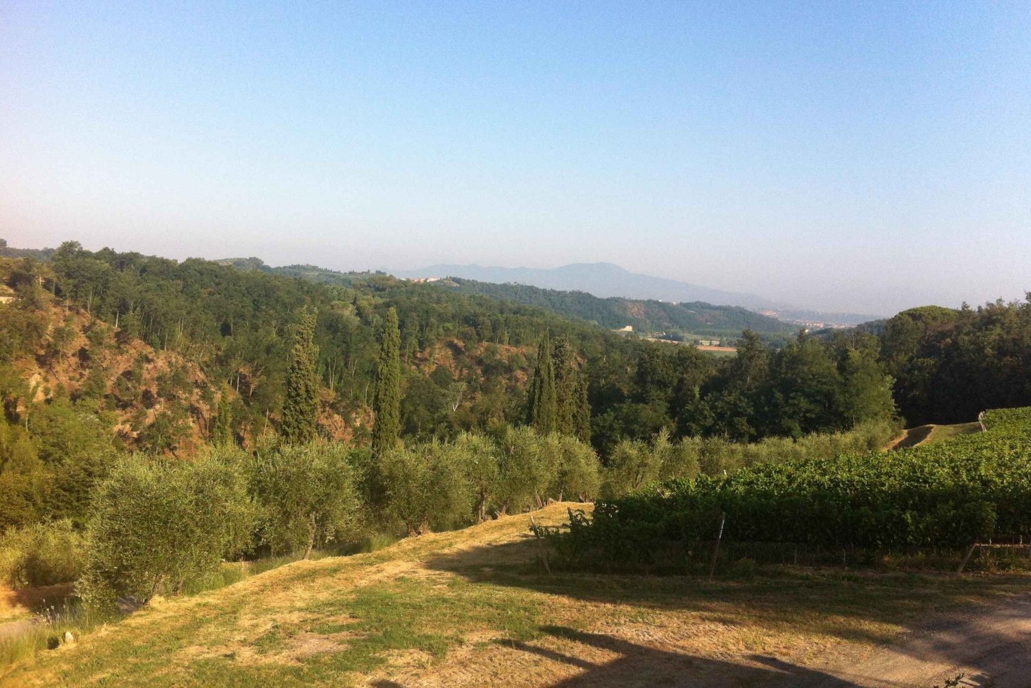 Fra Firenze: Madlavningsoplevelse på gård på bakketop i Toscana
