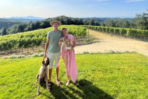 Fra Firenze: Madlavningsoplevelse på gård på bakketop i Toscana