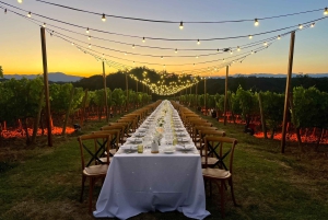 Fra Firenze: Madlavningsoplevelse på gård på bakketop i Toscana
