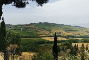 Florence: Montepulciano, Pienza, & Montalcino Private Trip