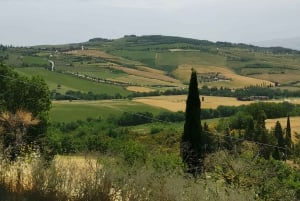 Florence: Montepulciano, Pienza, & Montalcino Private Trip