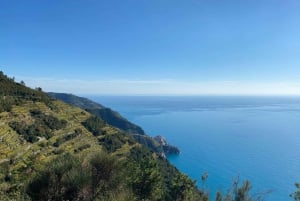 From Florence: Day Trip to the Cinque Terre