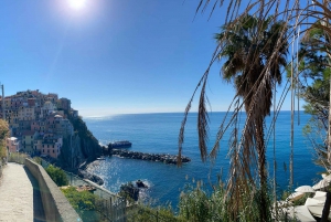 From Florence: Day Trip to the Cinque Terre