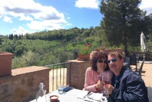 Från Florens: Exklusiv vinresa i Chianti till 2 vingårdar