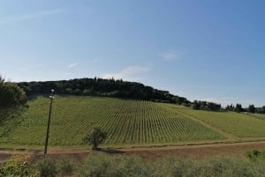 Von Florenz aus: Exklusive Chianti-Weintour zu 2 Weingütern