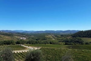 Au départ de Florence : Excursion exclusive dans le Chianti à la découverte de deux domaines viticoles