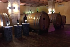 Från Florens: Exklusiv vinresa i Chianti till 2 vingårdar