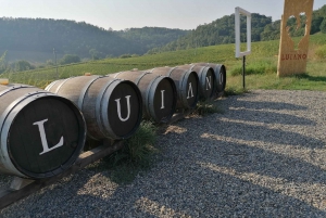 Florence: exclusieve Chianti-wijntour bij 3 wijnhuizen met lunch