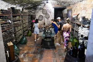 Fra Firenze: Eksklusiv Chianti-vintur til 2 vingårder