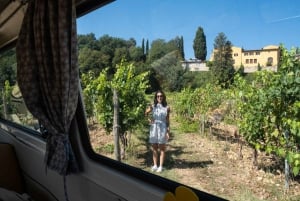 Desde Florencia: Excursión exclusiva a 2 bodegas del Chianti