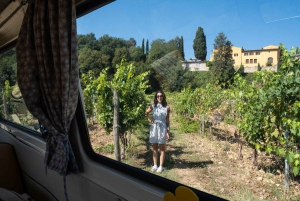Florence: exclusieve Chianti-wijntour bij 3 wijnhuizen met lunch