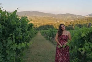 Au départ de Florence : Excursion exclusive dans le Chianti à la découverte de deux domaines viticoles