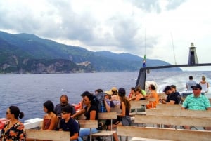 From Florence: Full-Day Private Cinque Terre Tour with Pisa