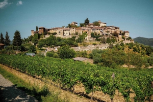 From Florence: Guided Wine Tour in Siena and Chianti