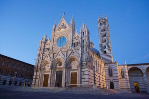 From Florence: Guided Wine Tour in Siena and Chianti