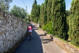 Au départ de Florence : Visite d'une demi-journée des saveurs de la Toscane à vélo