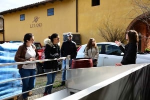 From Florence: Half-Day Wine & Food Tour in Chianti