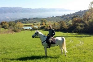 Da Firenze: Passeggiata a cavallo e tour del vino in una tenuta con pranzo